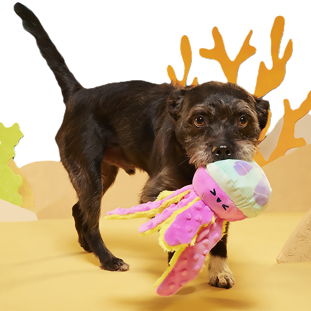 Jellysquish Plush Tug Dog Toy
