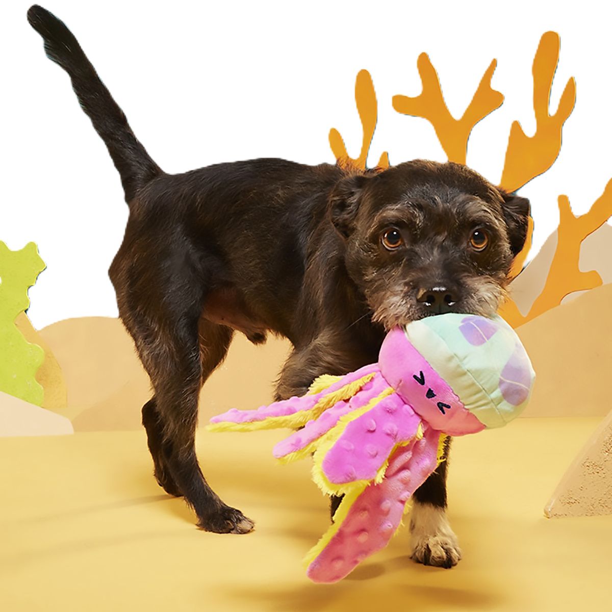 Jellysquish Plush Tug Dog Toy