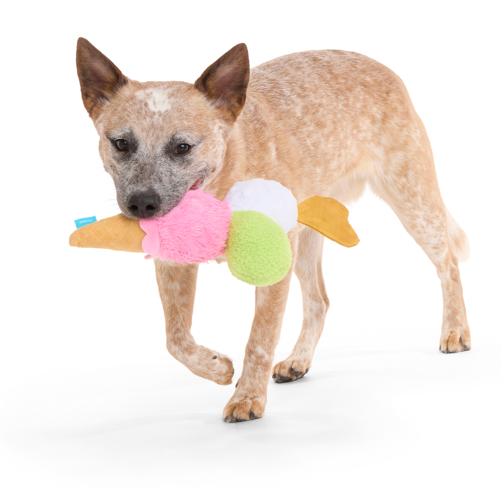 D'oggo Gelato Plush Dog Toy