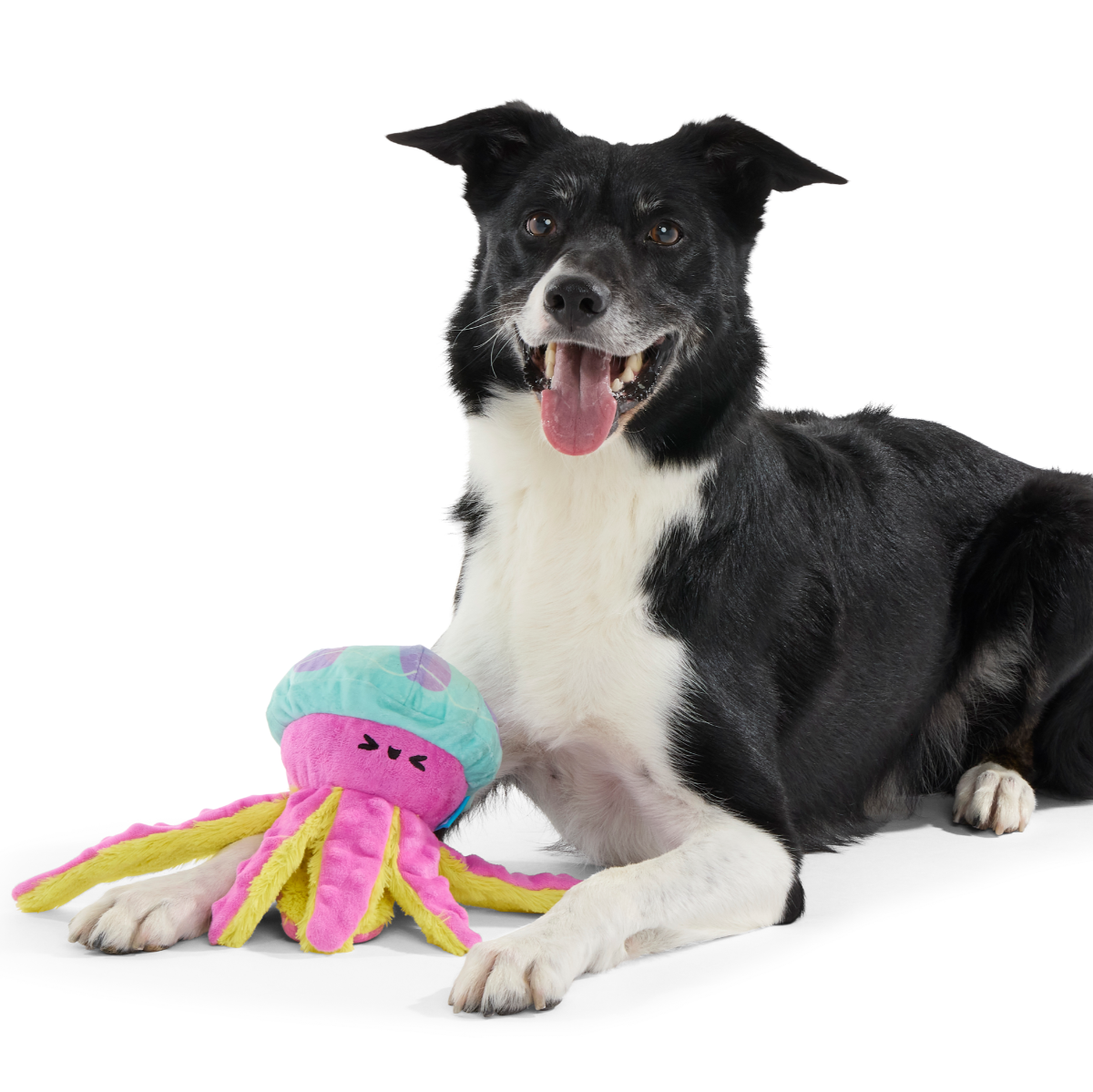 Jellysquish Plush Tug Dog Toy