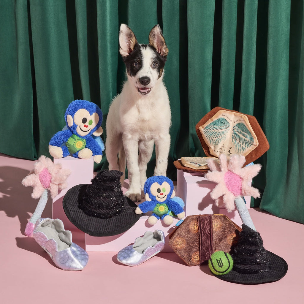 Defying Gravity Chistery Plush Tug Dog Toy