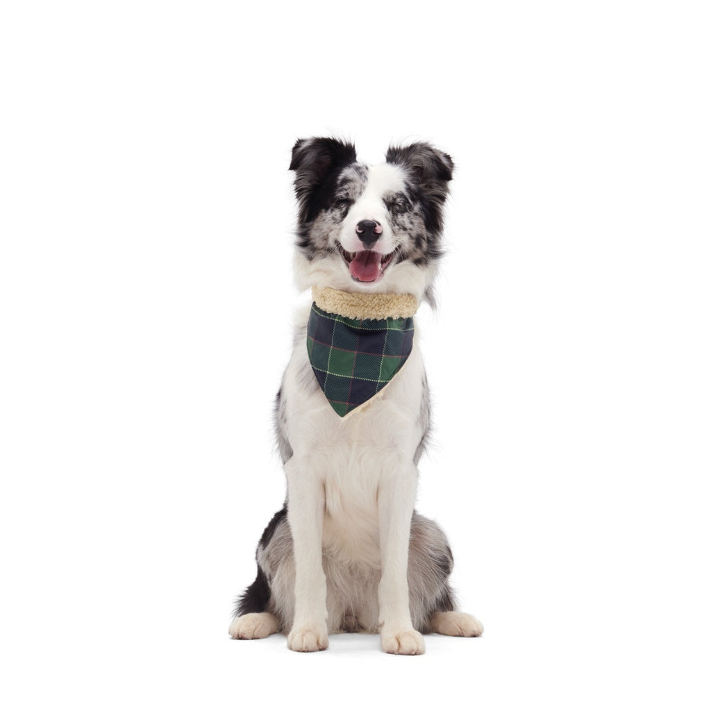 Plaid To The Bone Dog Bandana
