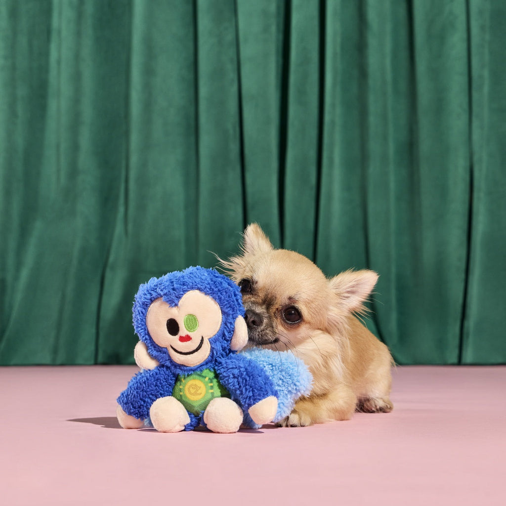 Defying Gravity Chistery Plush Tug Dog Toy