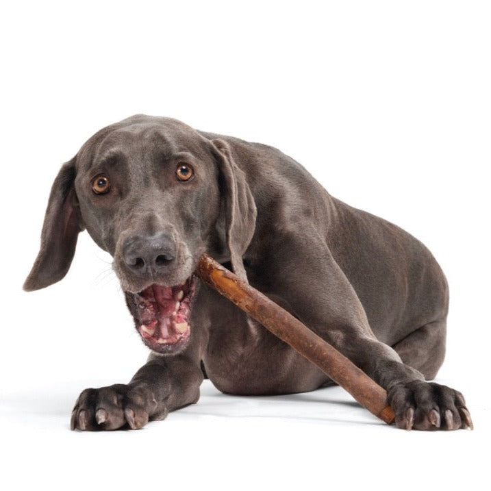 Beefy Chewin' Collagen Chew & Bully Stick