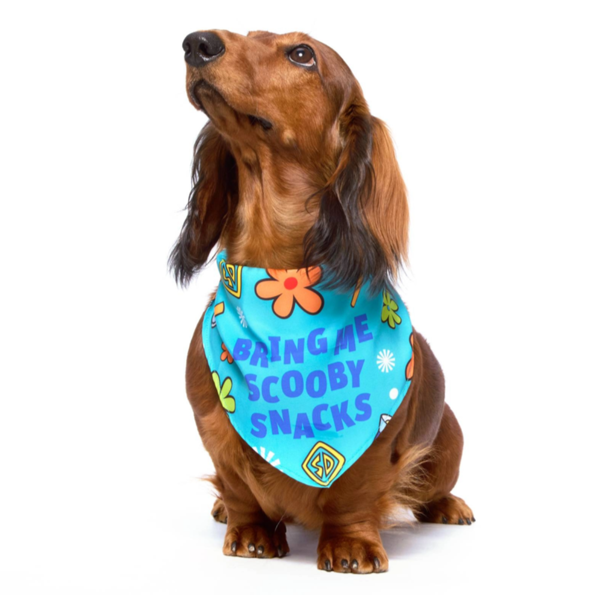 Scooby™ Snacks Dog Bandana