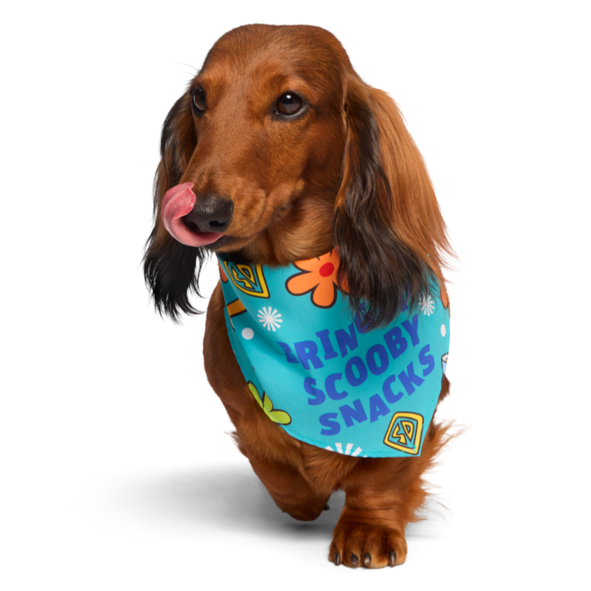 Scooby™ Snacks Dog Bandana