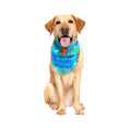 Scooby™ Snacks Dog Bandana
