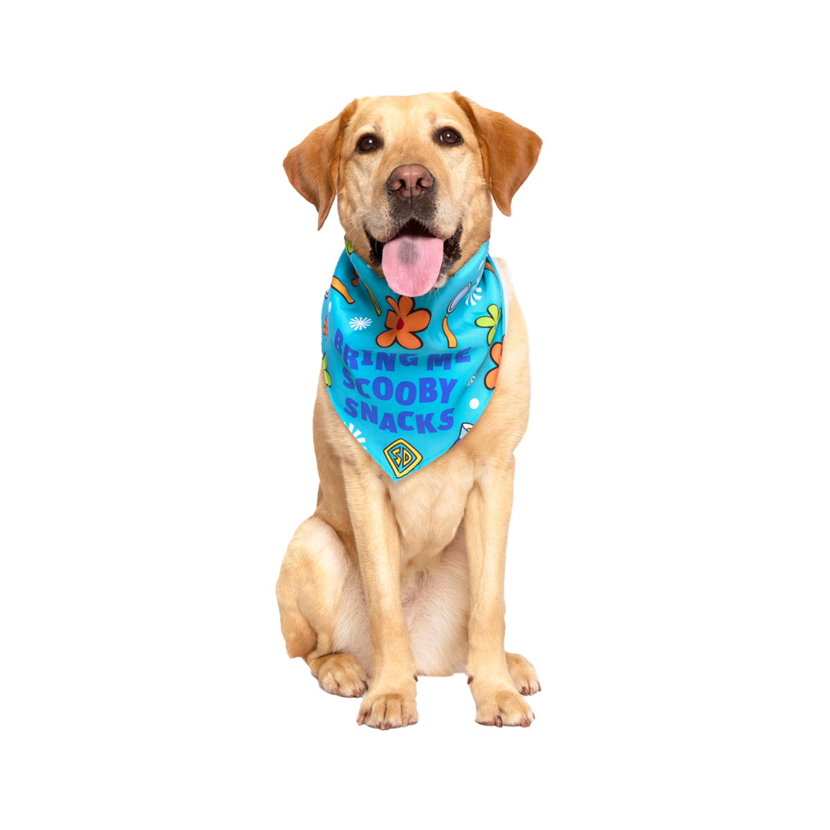 Scooby™ Snacks Dog Bandana